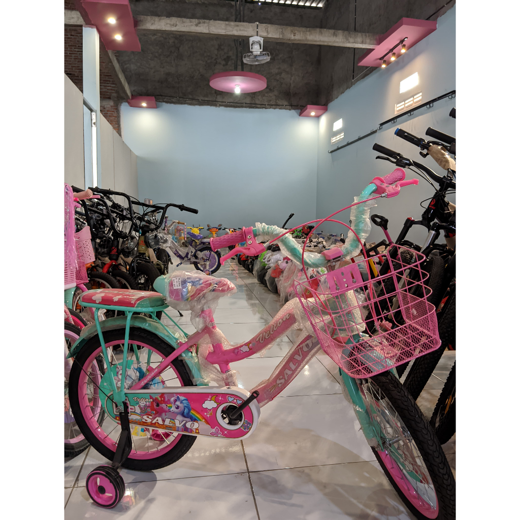 SEPEDA ANAK MINI 18 SALVO