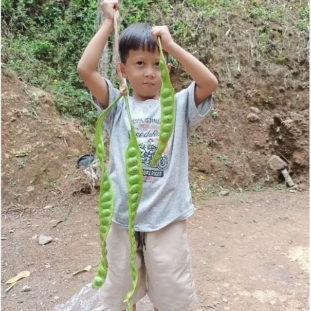 

Promo Pete super gemoy dan panjang 6 Papan