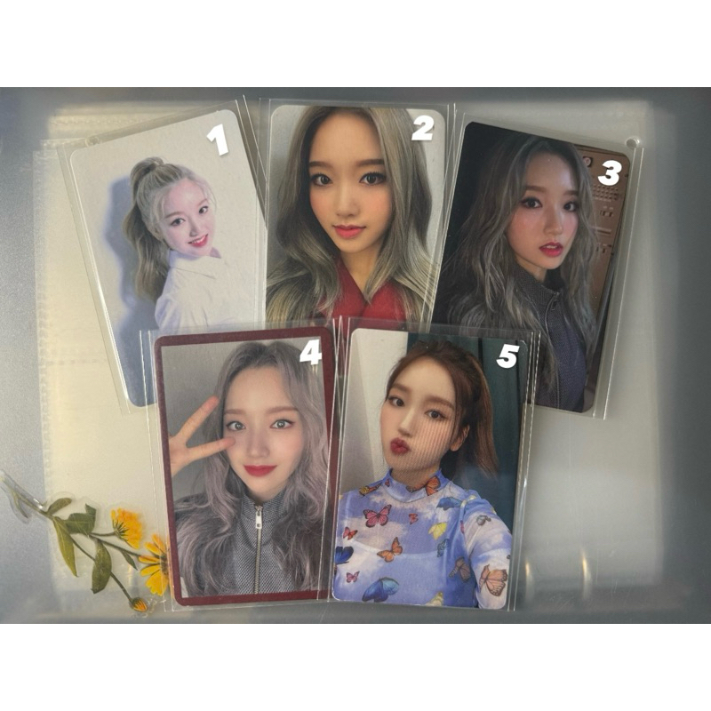 Gowon LOONA Album Photocard yyxy ++ xx # & hula hoop
