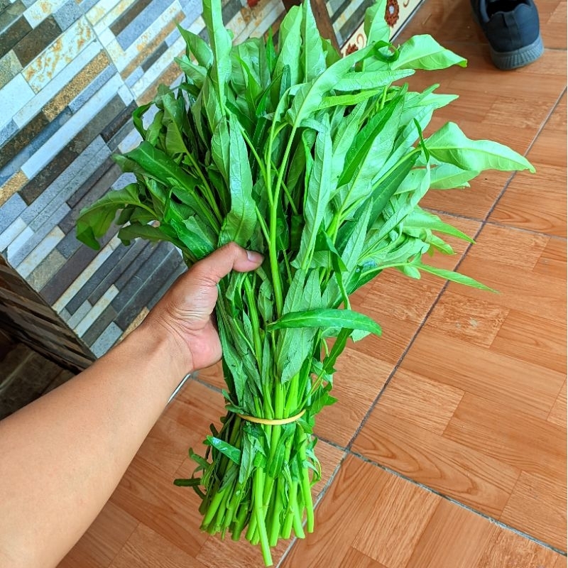 

Sayur kangkung Fresh 1ikat besar 50cm