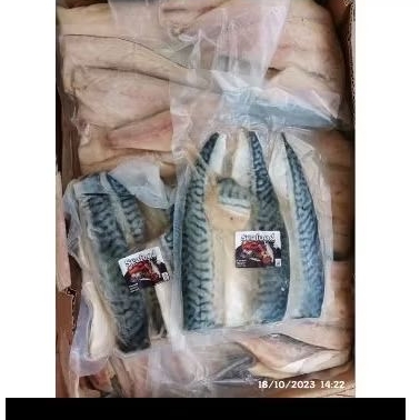 

mackarel fillet ikan makarel cocok untuk bumil dan anak