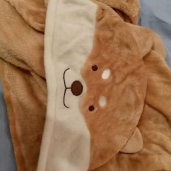 (booked) selimut shiba inu miniso