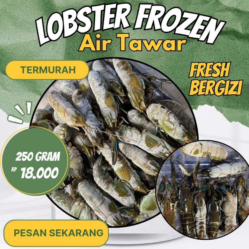 

Lobster Air Tawar Frozen Beku Termurah 250 Gram