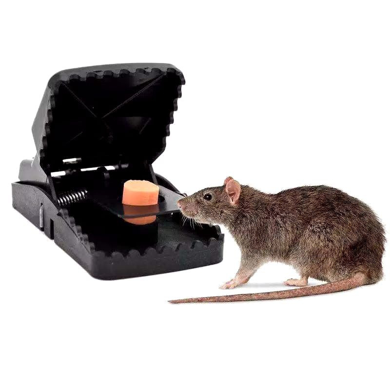 Alat Perangkap Jepit Tikus Alat Jebakan Tikus Plastik