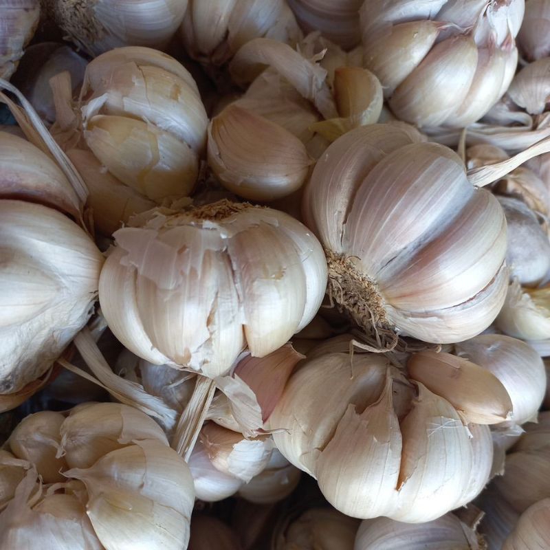 

Bawang putih 1kg