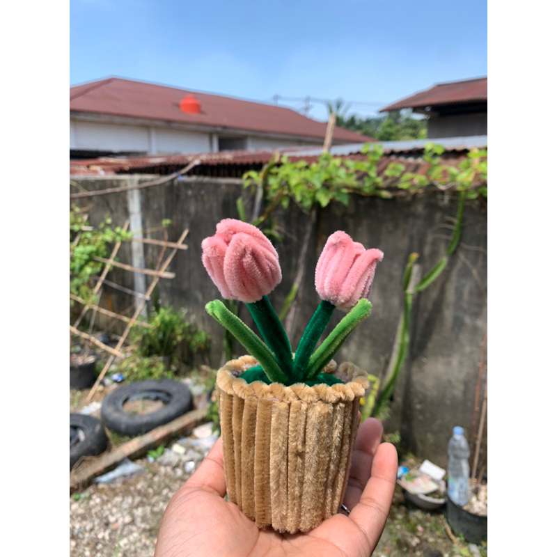 

Buket kawat Bulu Cup