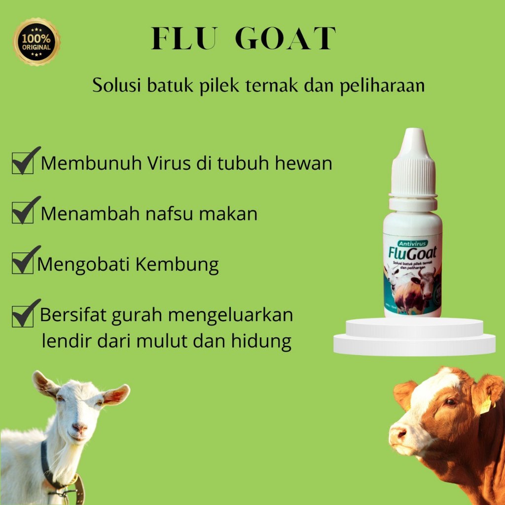 Obat Kembung Kambing Kembung Mencret Ternak Domba Ndarufarm Pneumonia Hewan Stop Flu Flu Batuk Pilek