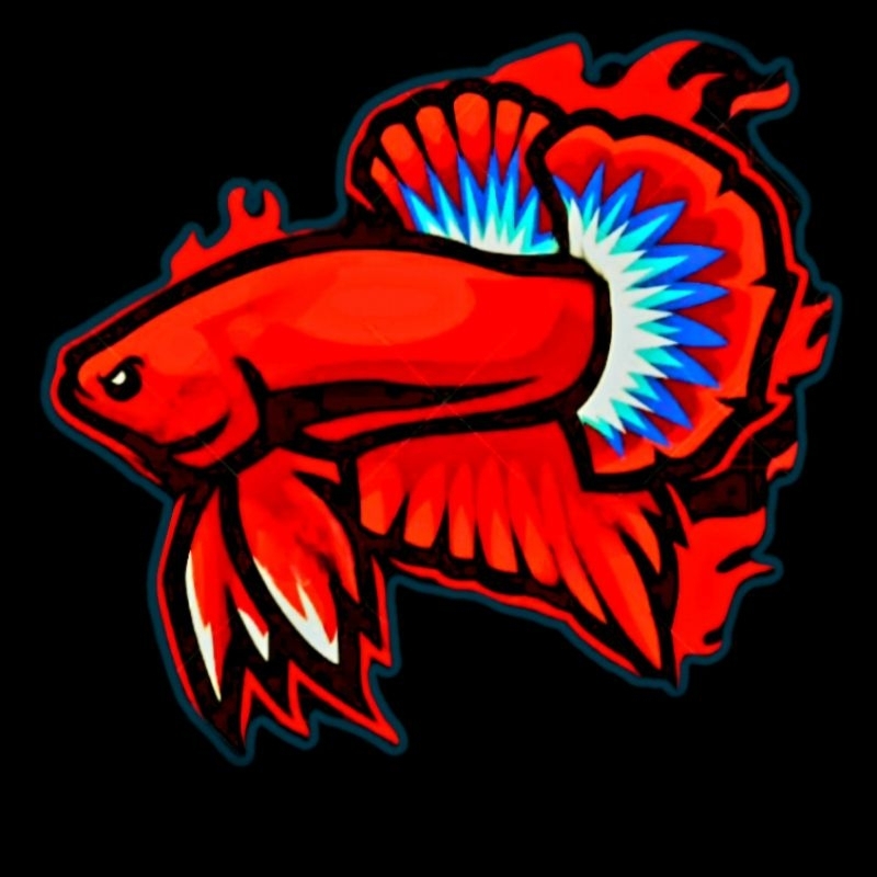 

Stiker Co khusus Live