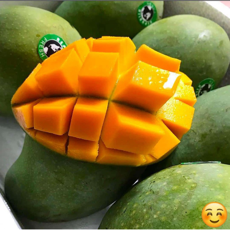 

MANGGA GADUNG FRESH / MANGGA HARUM MANIS