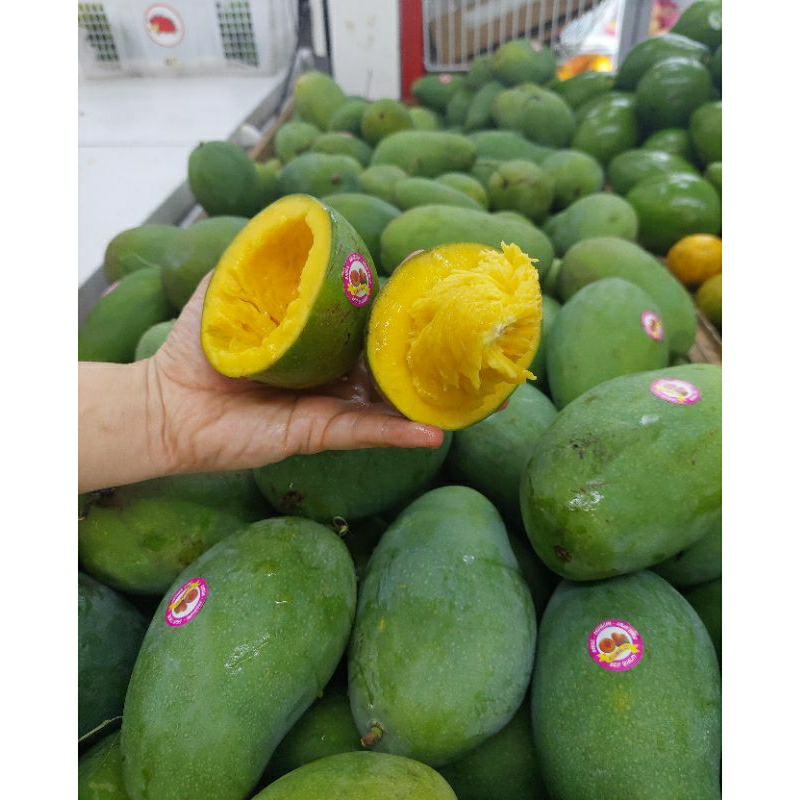 

MANGGA ALPUKAT MANIS SUPER ( 950 - 1000 g )