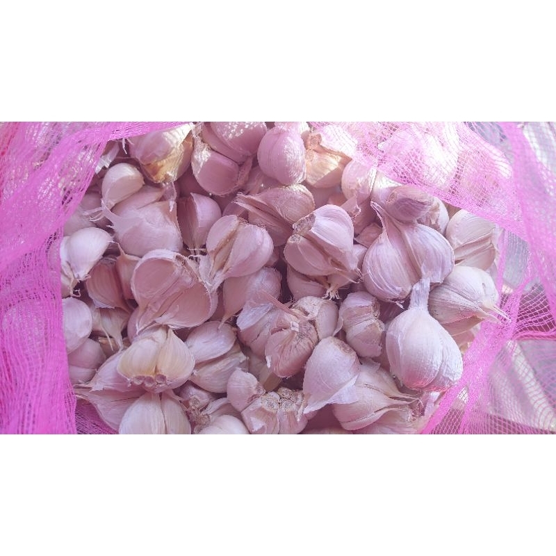 

BAWANG PUTIH KATING BERSIH PREMIUM 1KG