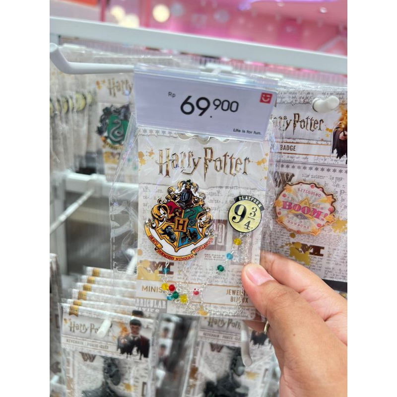 Pin Harry Potter (Miniso X Harry Potter)