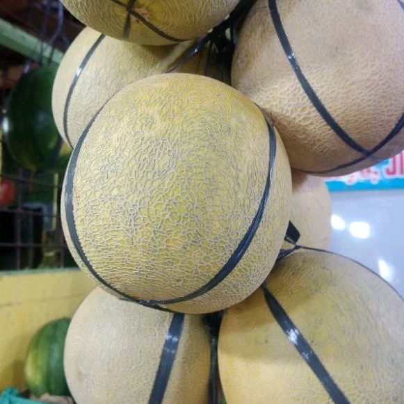 

MelonMadu (1,5kg)