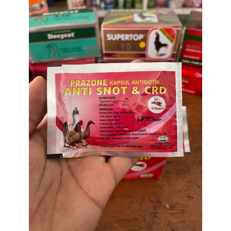 PRAZONE | Kapsul Antibiotik (Anti snot & CRD)