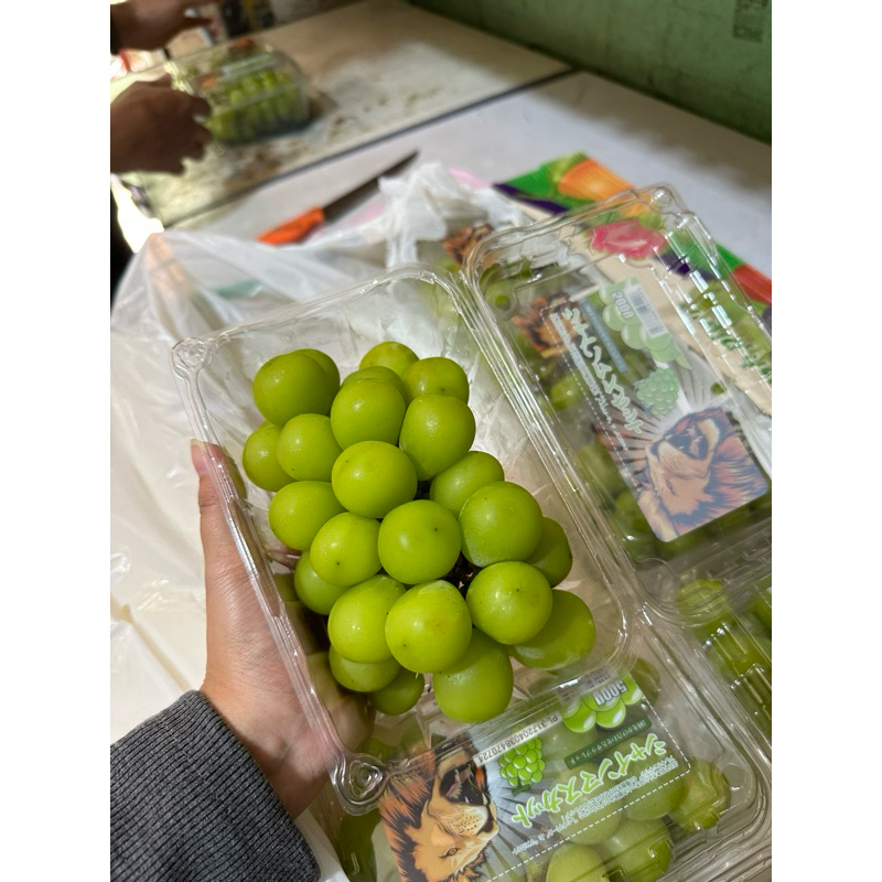 

Anggur hijau Shine Muscat pack 500gr,import fresh fruits