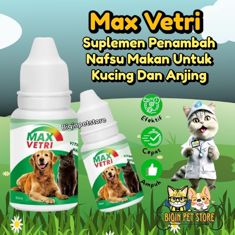 Vitamin Penambah Nafsu Makan Kucing Anjing