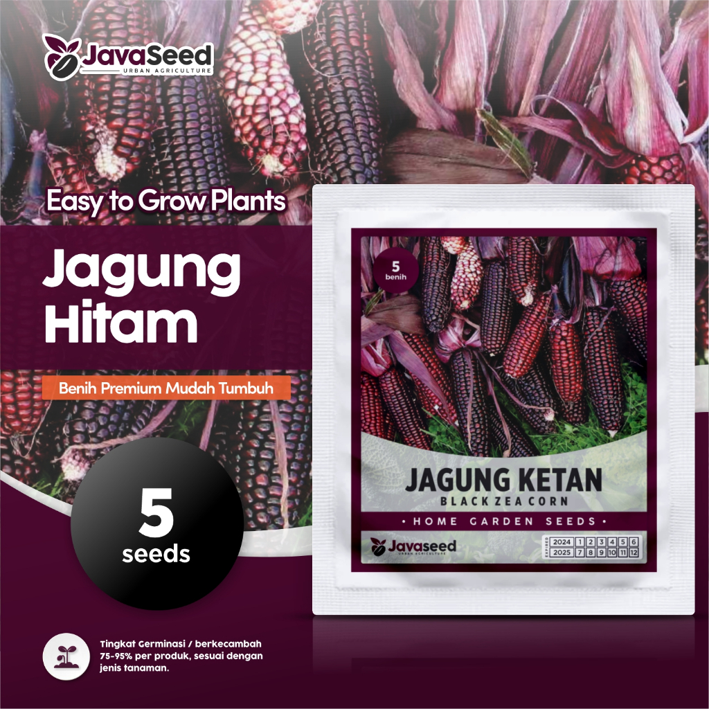 JAVASEED - Benih Jagung Ketan Hitam Black Corn Hibrida 5 Benih