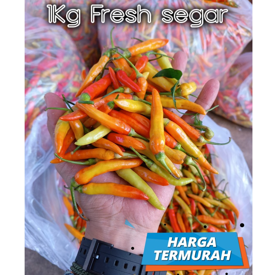 

1Kg Cabai / cabe rawit merah 1kg cabe / cabai rawit fresh segar packing kardus cabai / cabe rawit setan