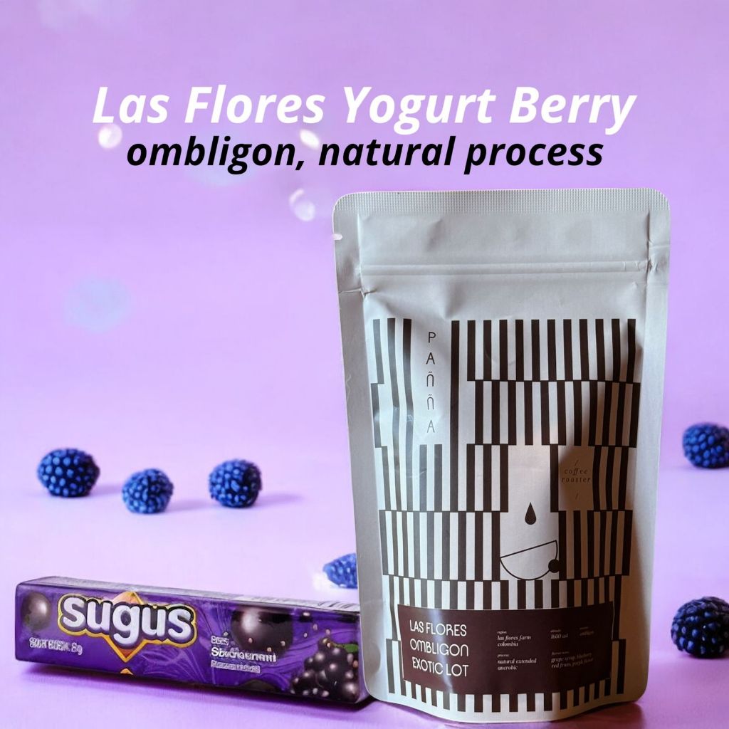 

kopi las flores ombligon blueberry yogurt competion lot specilaty