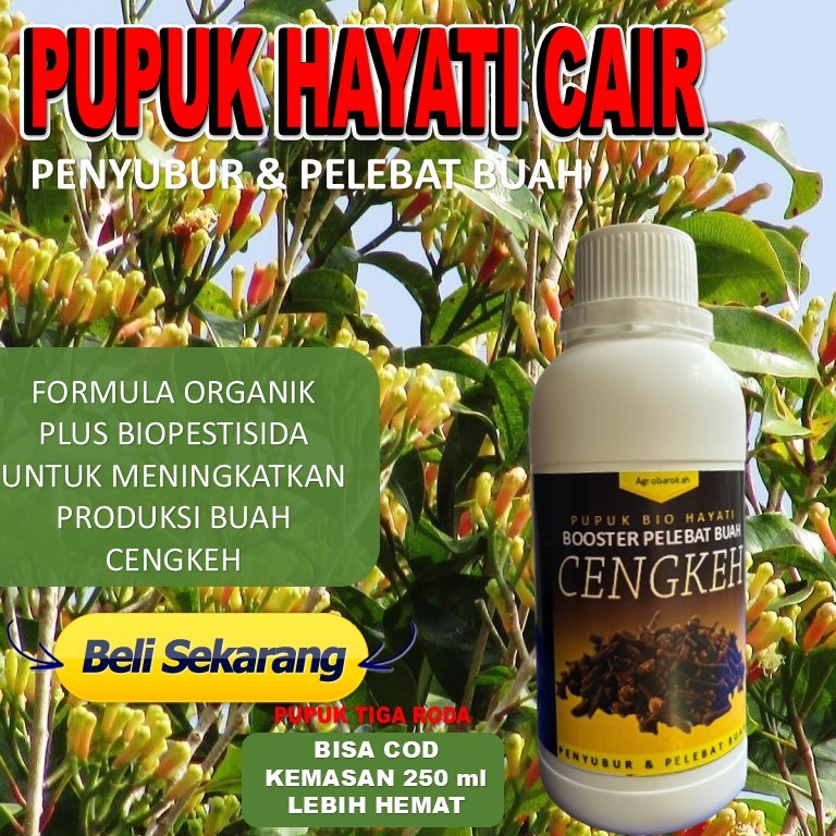 Pupuk Bunga Cengkeh Anti Rontok 250 mL Mempercepat / Melebatkan / Booster Pertumbuhan Bunga Cengkeh