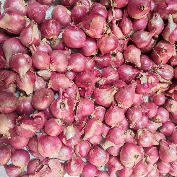 

Bawang Merah 1KG