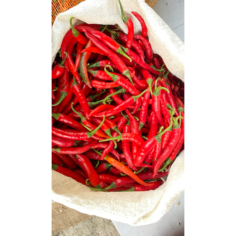 

Cabe / Cabai Merah Besar Super 1 Kg