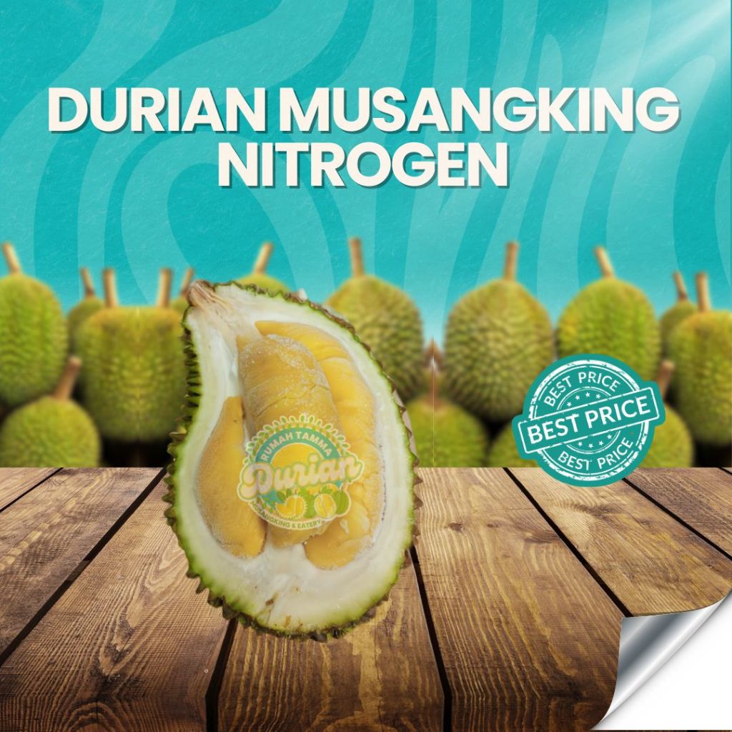 

musangking nitrogen gold / musangking nitrogen