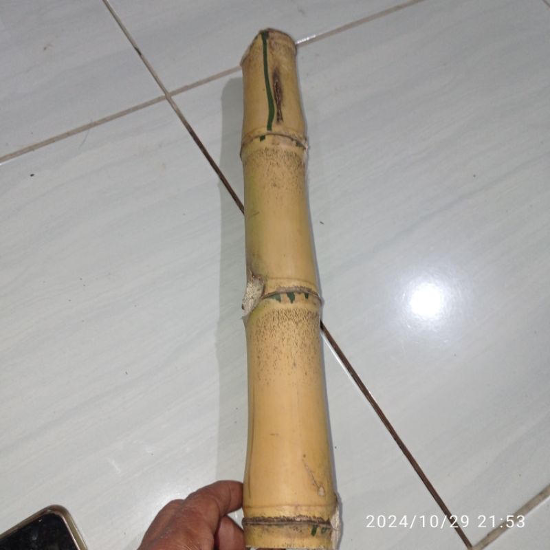Bambu kuning alami bertuah combong tembus