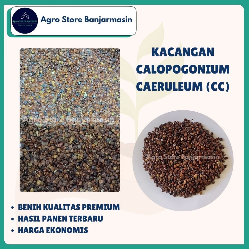 Benih CC (Calopogonium Caeruleum) per Kg