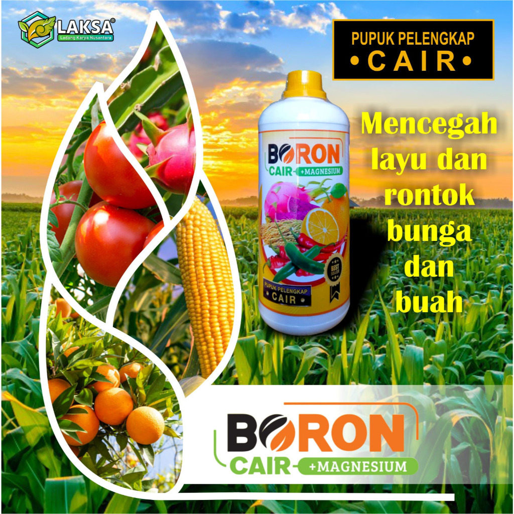 Pupuk Boron cair +Magnesium 1000ml