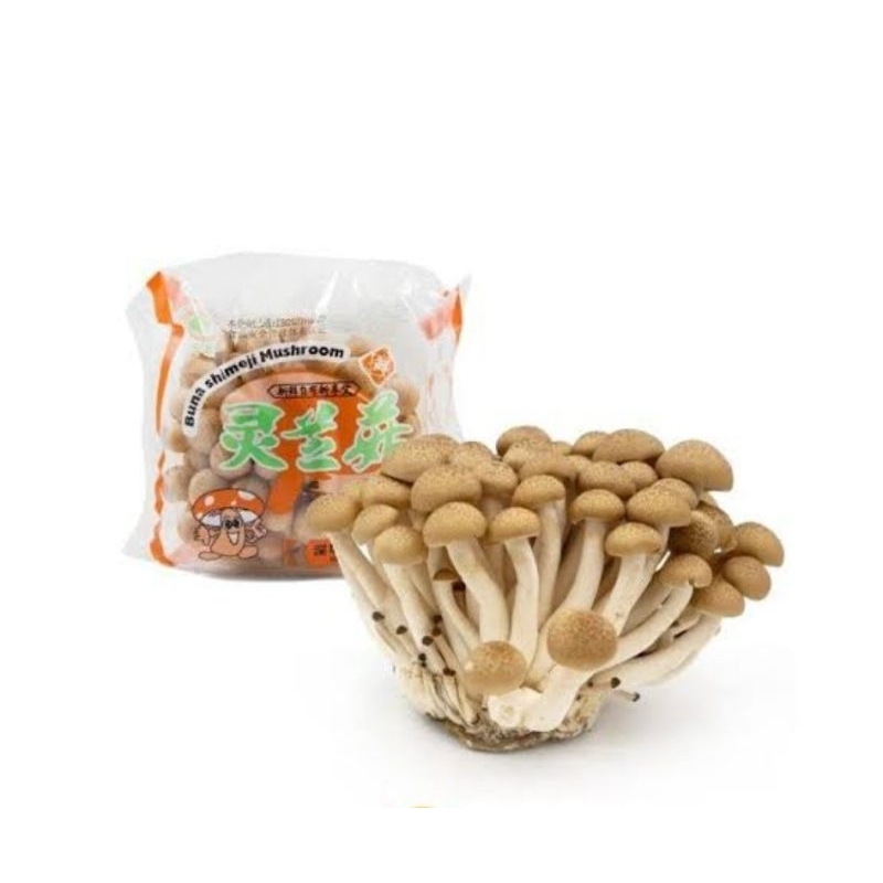 

Jamur shimeji cokelat brayamart