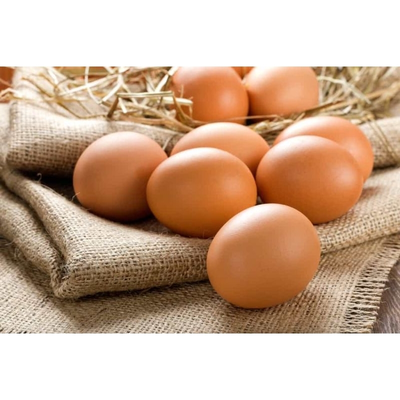 

Telur 1kg