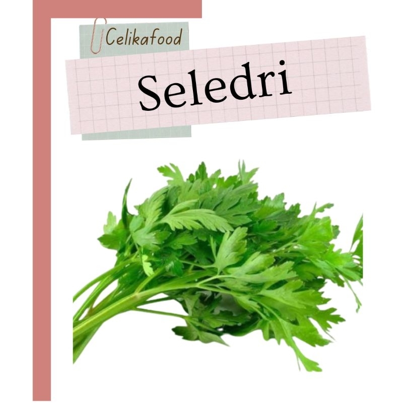 

Daun Seledri 100 gr sayur sayuran celery bahan makanan petani