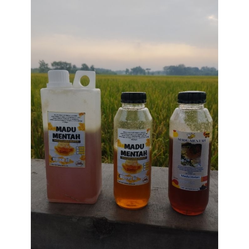 

Madu Mentah Multiflora Super Lulus Uji Lab