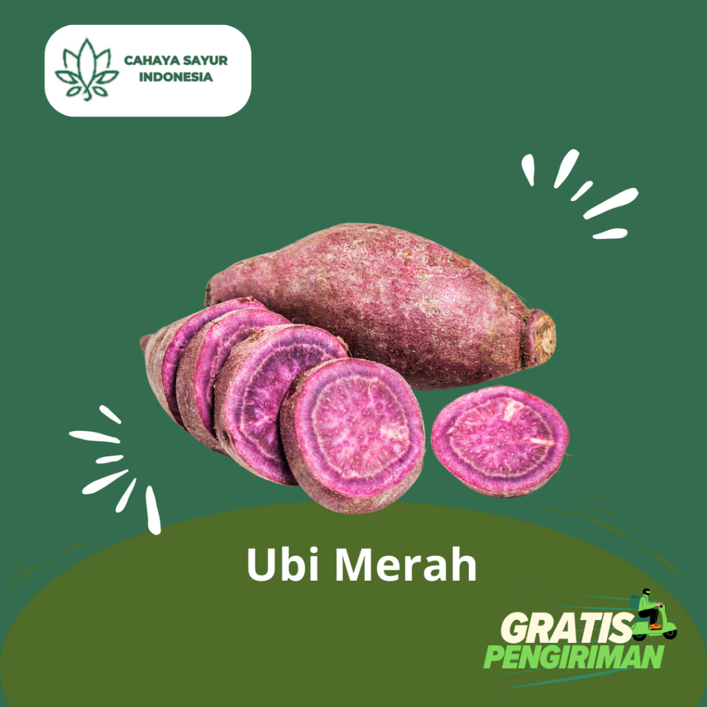 

Ubi Merah / Ubi Jalar Merah Segar 1KG