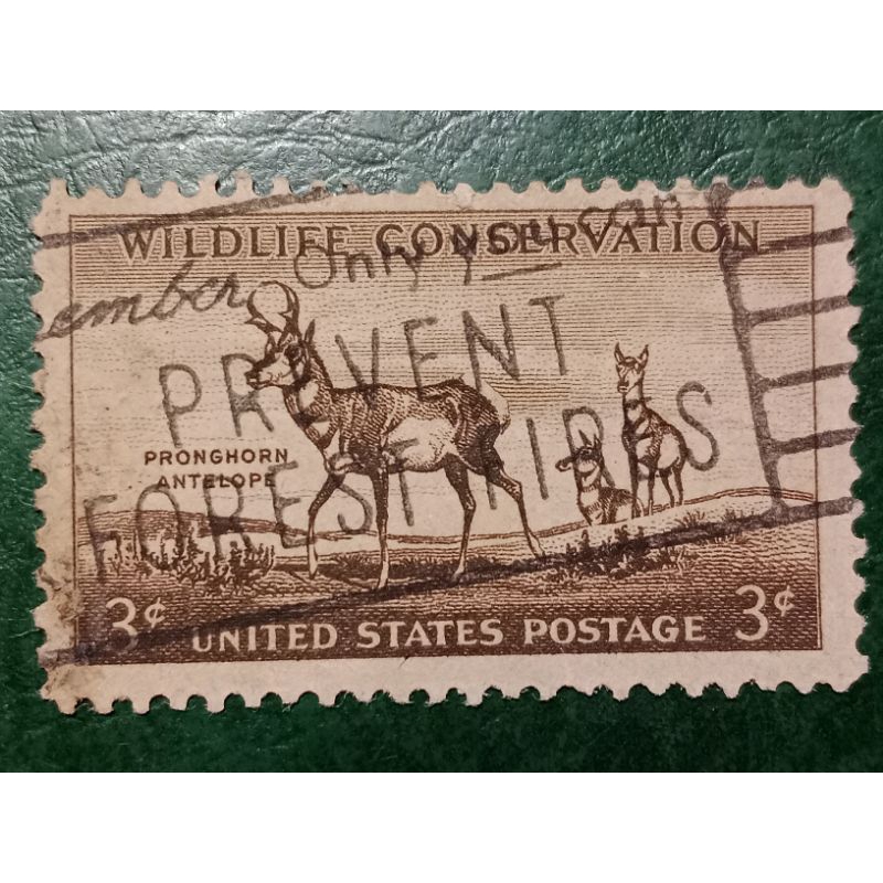

Prangko USA 3 Cents Wildlife Conservation Tahun 1956 USED
