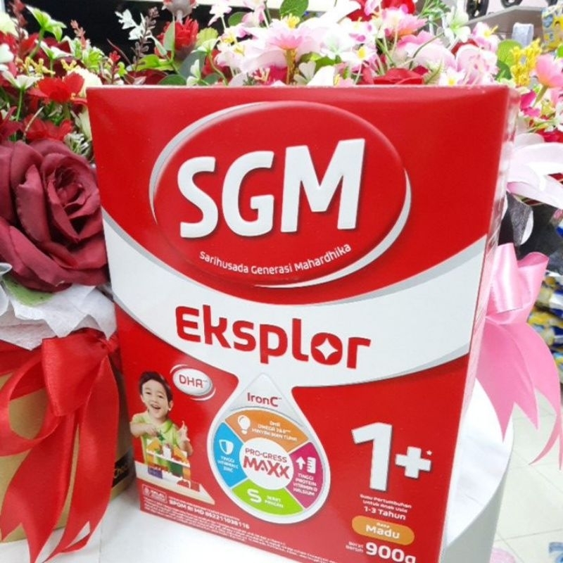 

Susu Formula SGM Eksplor 1+