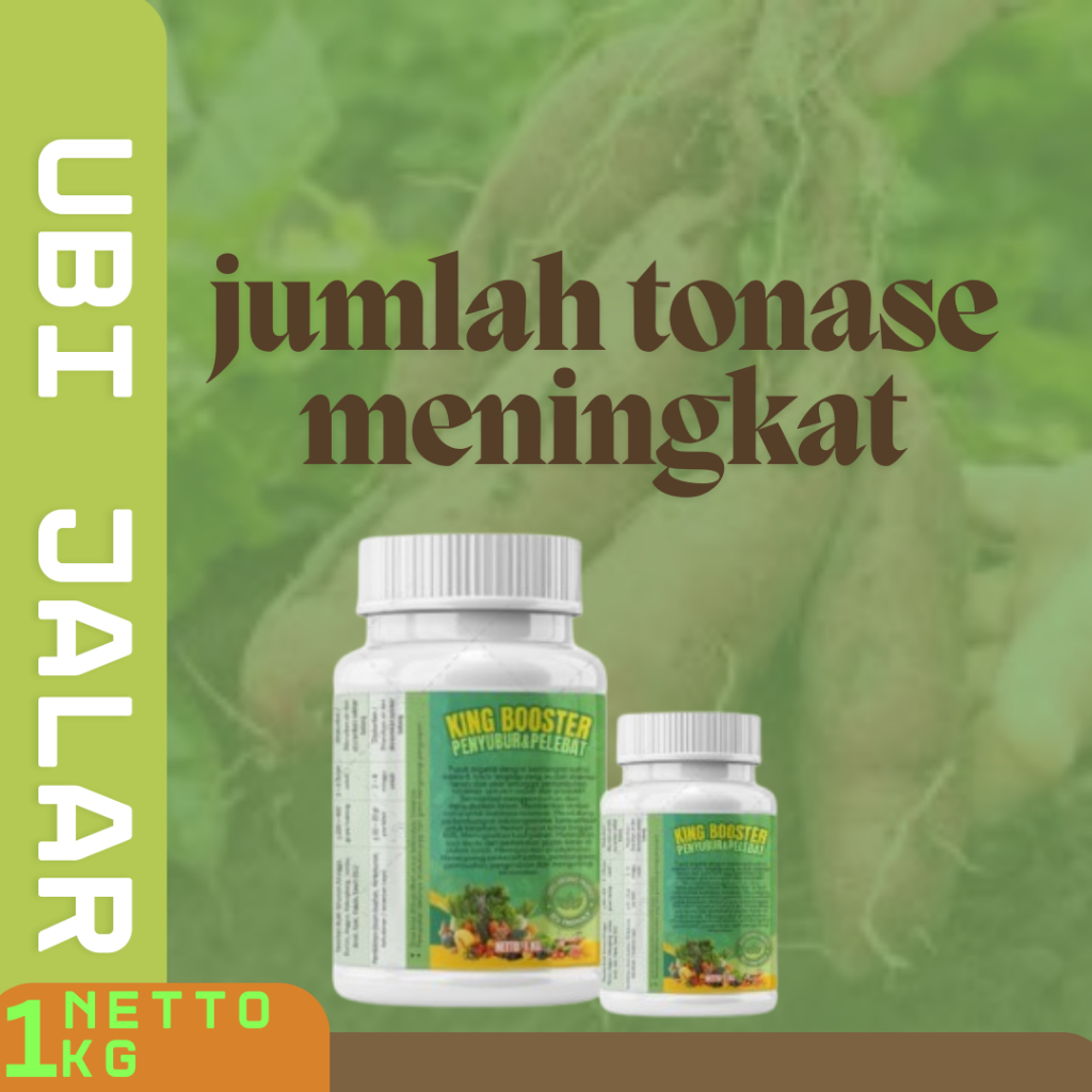 pupuk umbi, pupuk umbi besar, pupuk umbi bawang merah, pupuk umbi singkong, pupuk umbi jalar, pupuk 