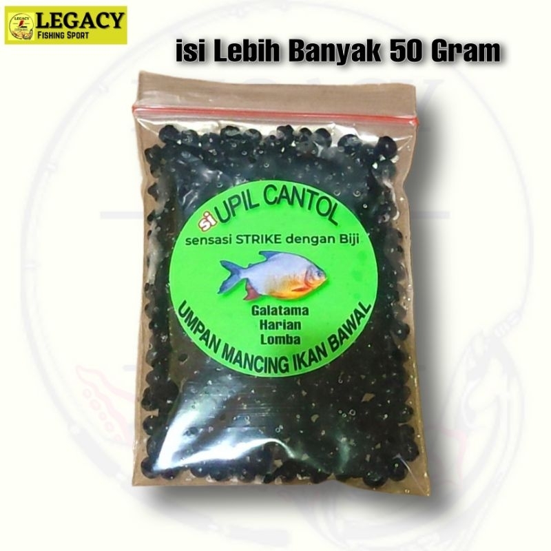 Umpan Bawal UPIL CANTOL Untuk Mancing Ikan Bawal Galatama Harian Lomba Babon & Rame  Umpan Tenggelam