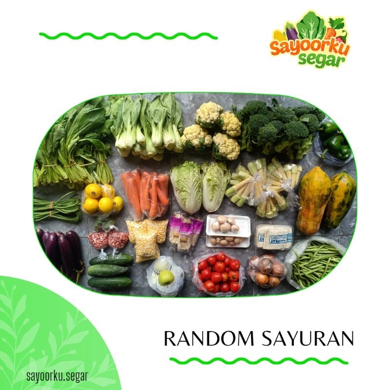 

KIRIM BESOK Bonus sayur random