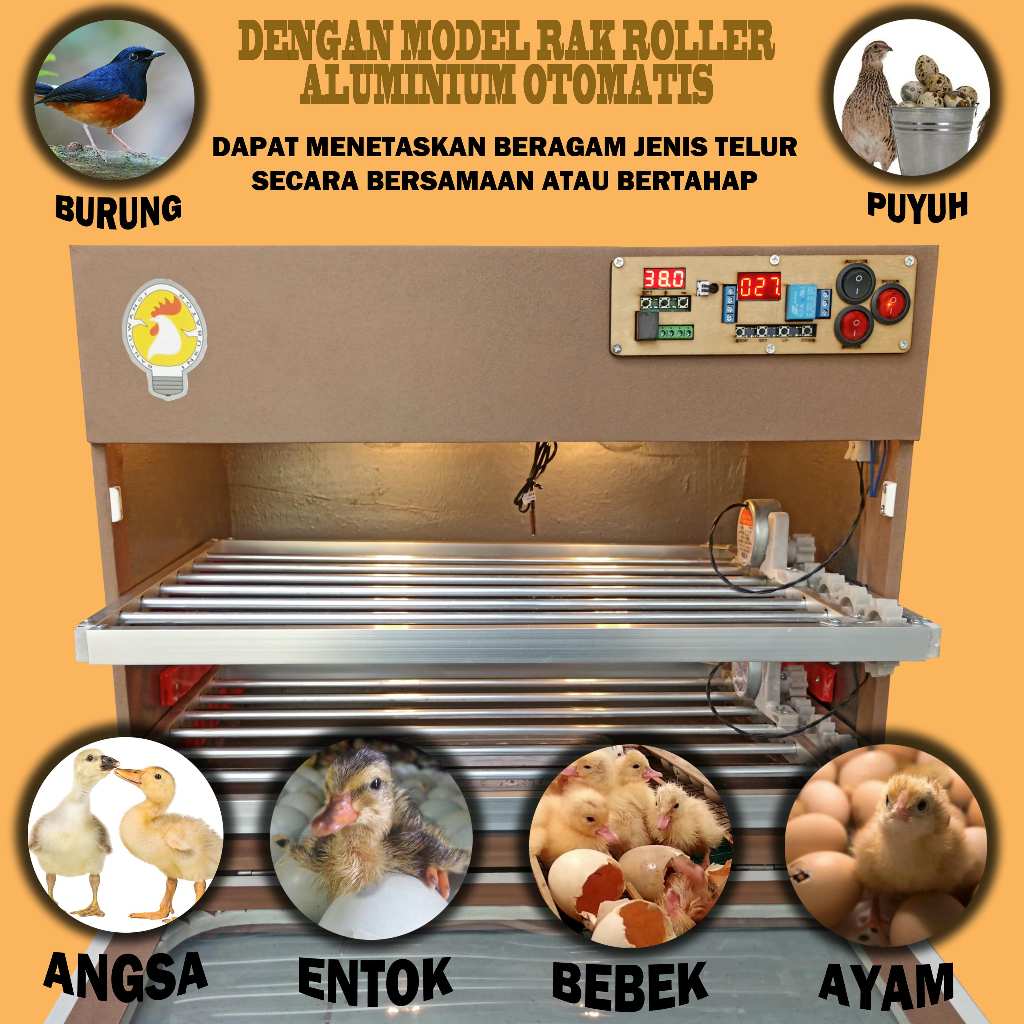 mesin penetas telur full otomatis kapasitas 100 telur