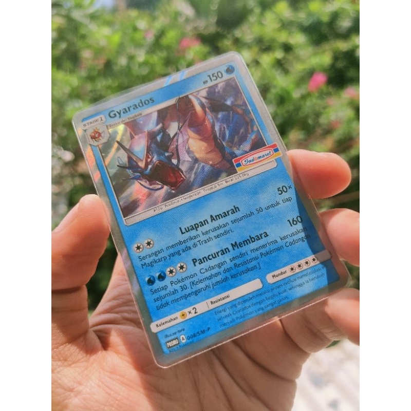 Gyarados Holo 008/SM-P - Promo Indomaret Pokemon TCG Indonesia