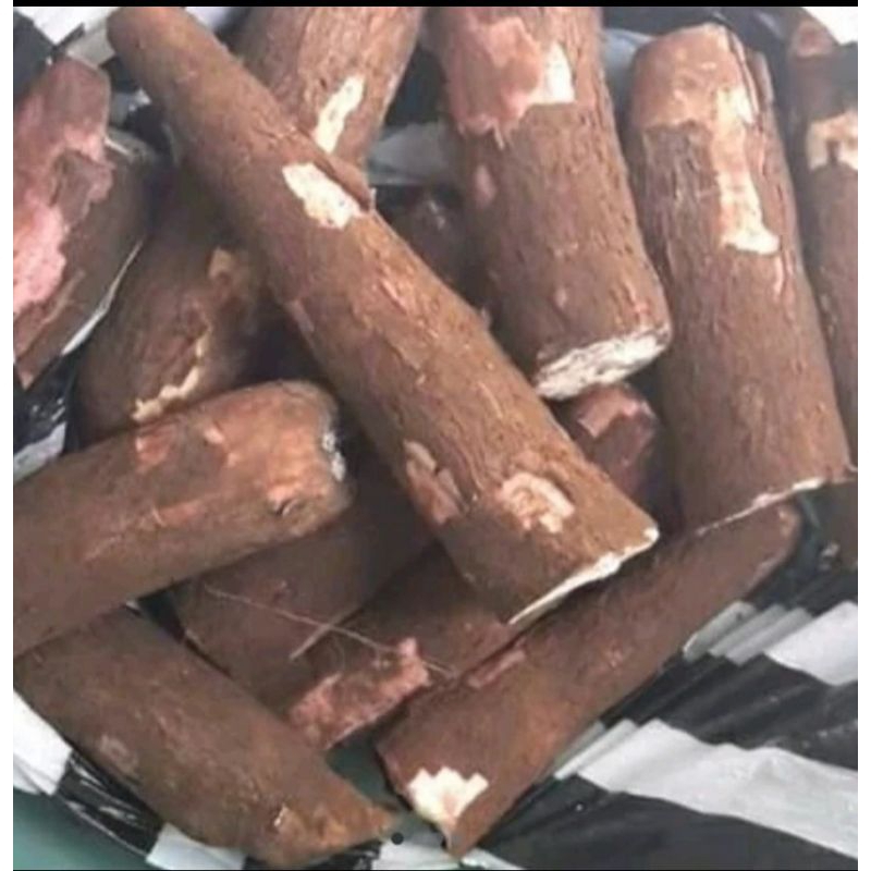

singkong segar 1 kg