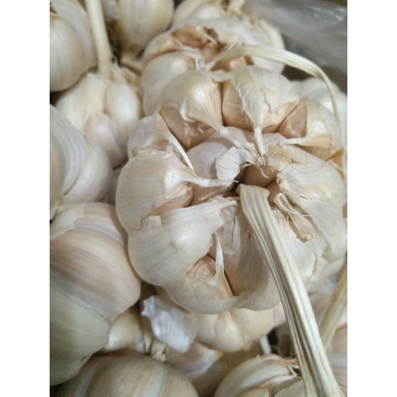

BAWANG PUTIH SINCO 1/2 kg @21.000. SINCO Murah