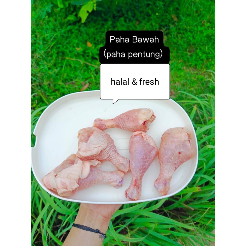 

PAHA BAWAH AYAM PENTUNG DRUMSTICK DAGING SEGAR FROZEN FRESH BEKU POTONG ATAS UTUH PENTUL CHICKEN AYAM UPIN IPINHALAL