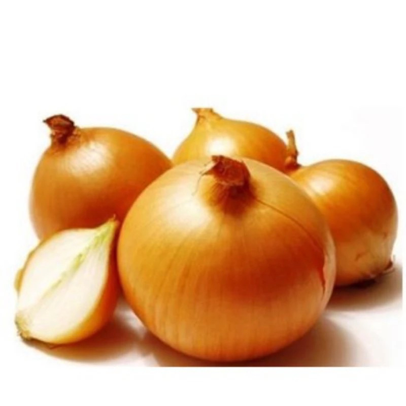 

BAWANG BOMBAY Kwalitas Premium Termurah
