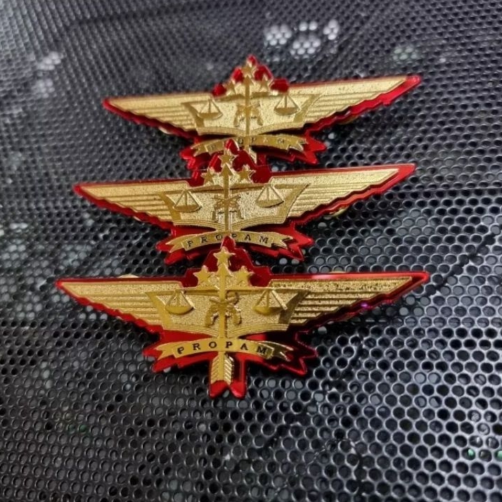 

pin propam wing propam