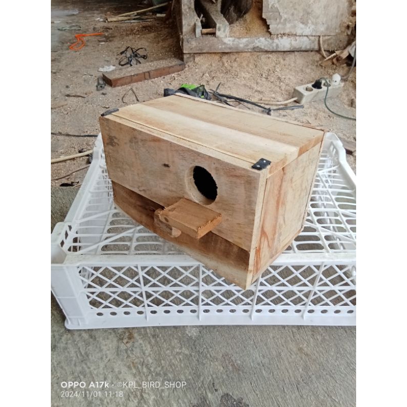 Glodok kotak burung parkit