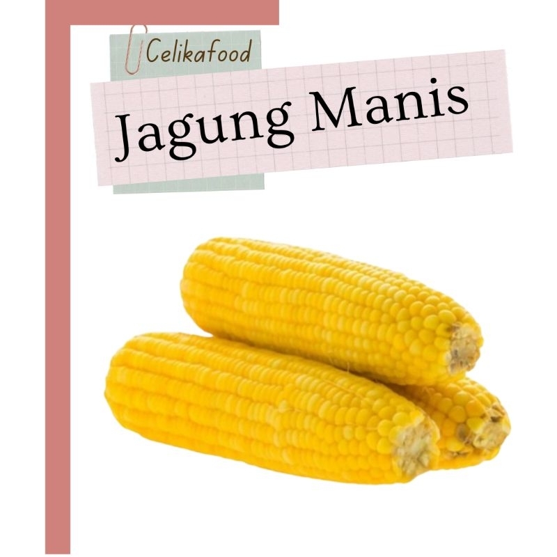 

Jagung Manis Kulit 500 gr Corn Sayuran Vegetable masakan