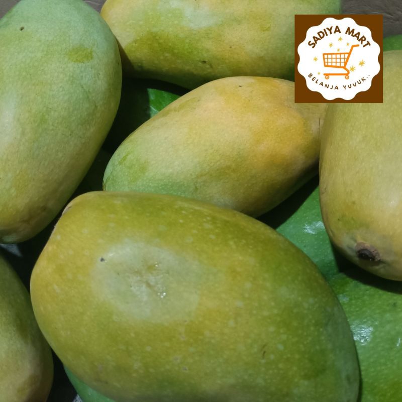 

Mangga gajah 1 kg